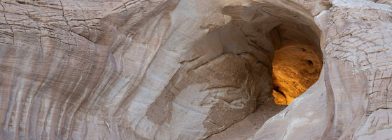 The Tassili Mushroom