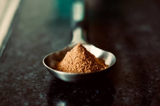 Mushroom Capsules vs. Powders vs. Tinctures: How To Choose?