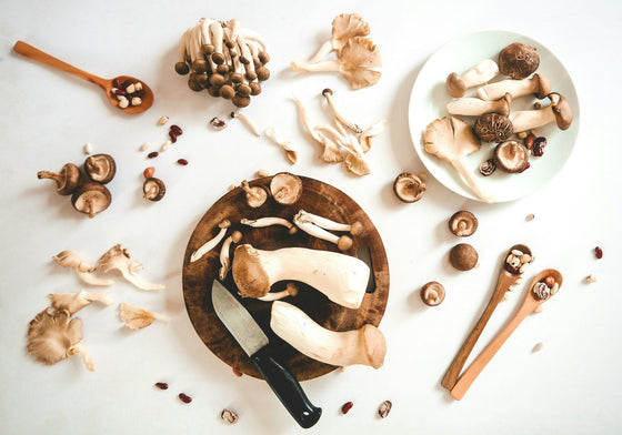 How do I Know if Functional Mushrooms are Working?