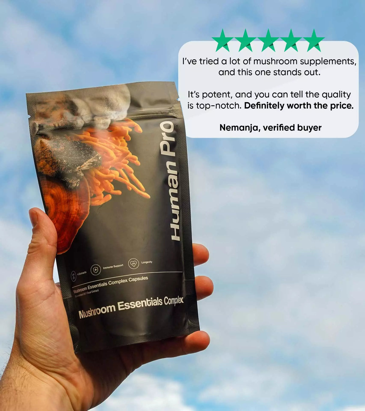 Customer review of Mushroom Essentials Complex