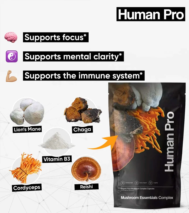 Mushroom Essentials Complex key benefits