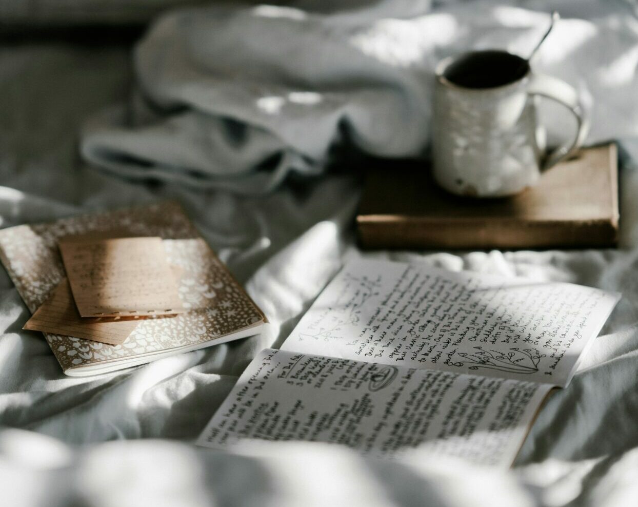 Hygge and Functional Mushrooms