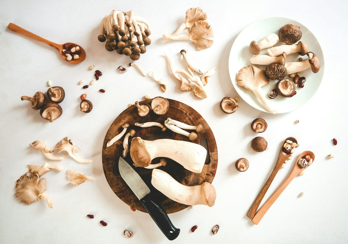 How do I Know if Functional Mushrooms are Working?
