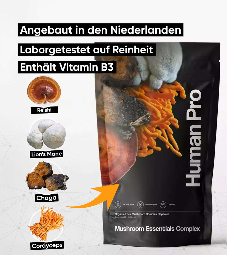 Human Pro Mushroom Essentials Complex Beutel mit Reishi, Lion's Mane, Chaga und Cordyceps