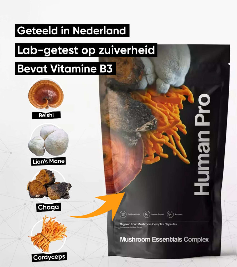 Human Pro Mushroom Essentials Complex zak met reishi, lion's mane, chaga en cordyceps