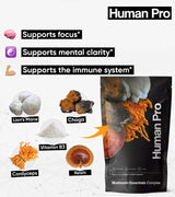 Mushroom Essentials Complex key benefits