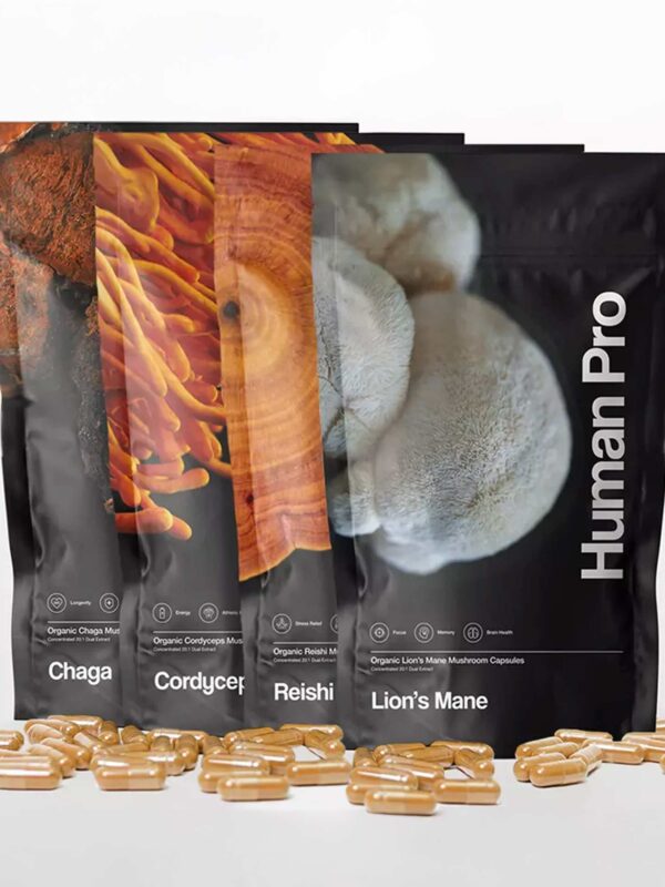 Mushroom Supplement Bundle