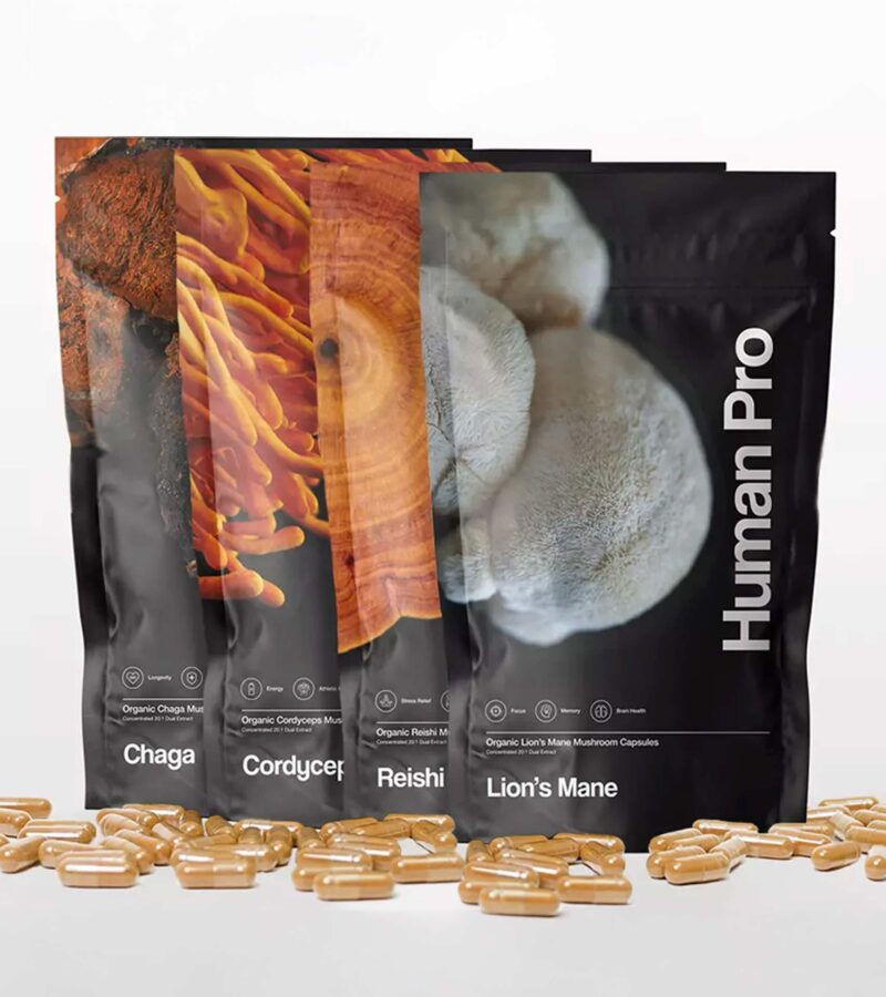Mushroom Supplement Bundle