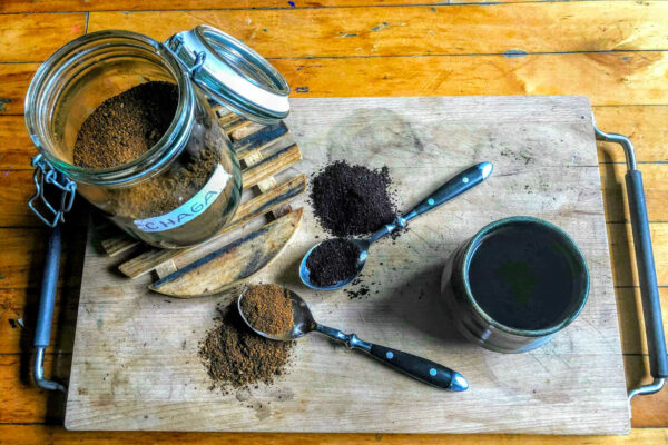 History of Chaga