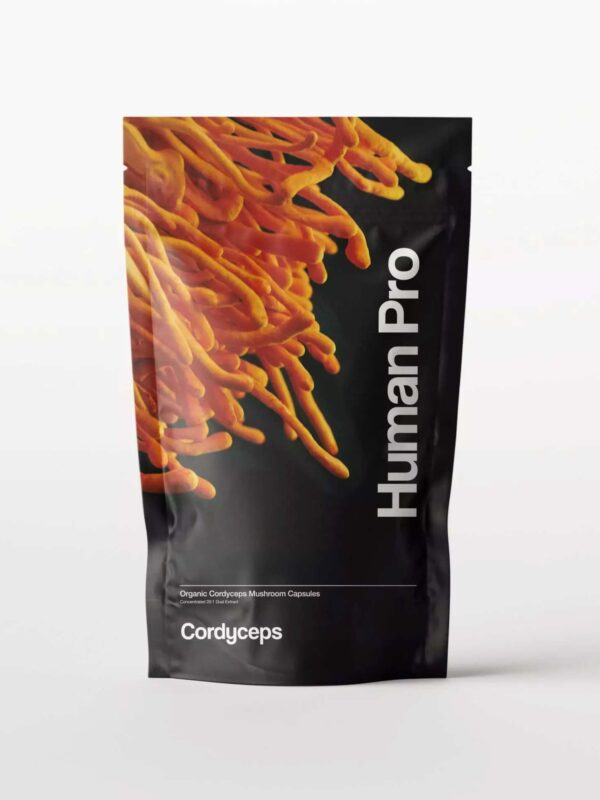 Cordyceps Hp
