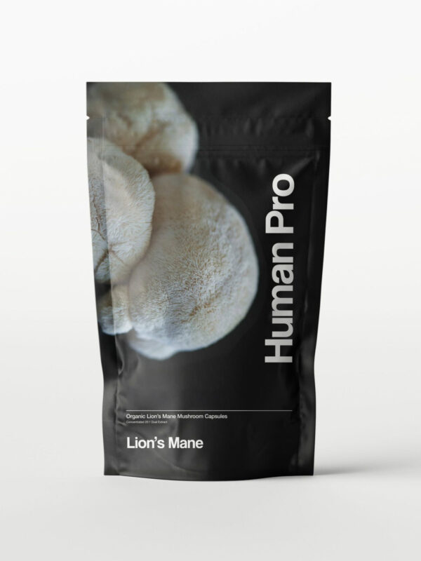 Lions Mane Hp