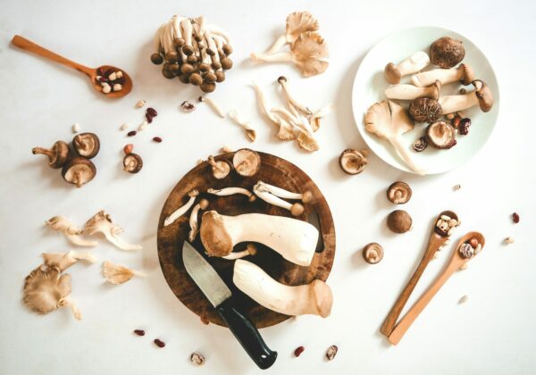How do I Know if Functional Mushrooms are Working?