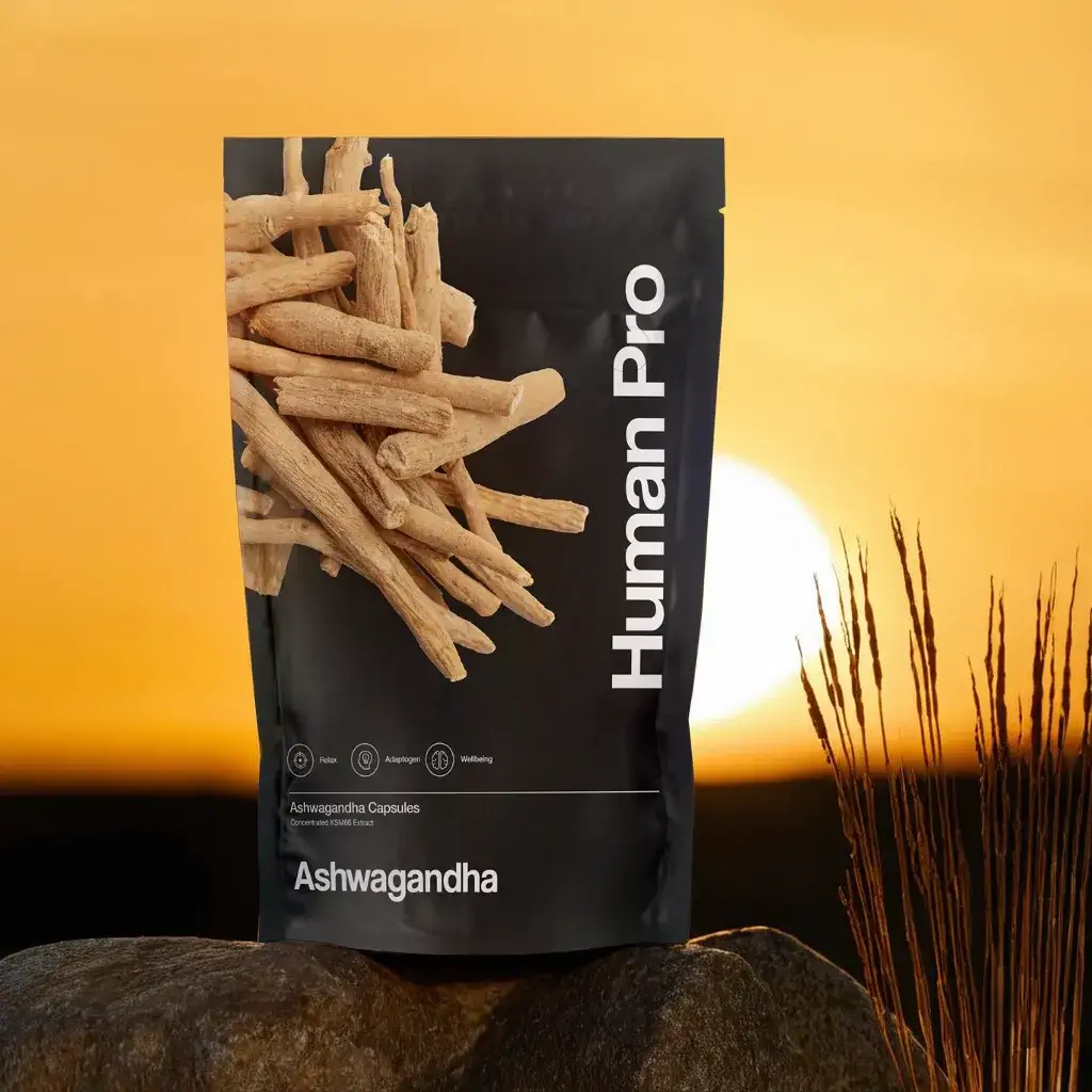 Ashwagandha KSM-66 | Human Pro