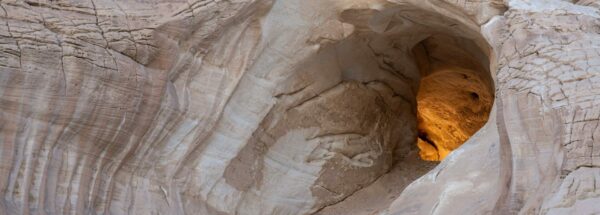 The Tassili Mushroom