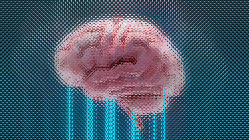Brain