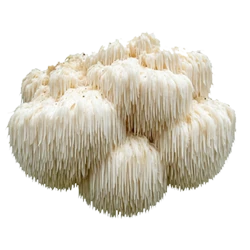 Lion's Mane extract - 417.5 mg