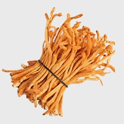 Cordyceps mushroom - 417.5 mg per capsule