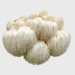Lion's Mane mushroom - 417.5 mg per capsule