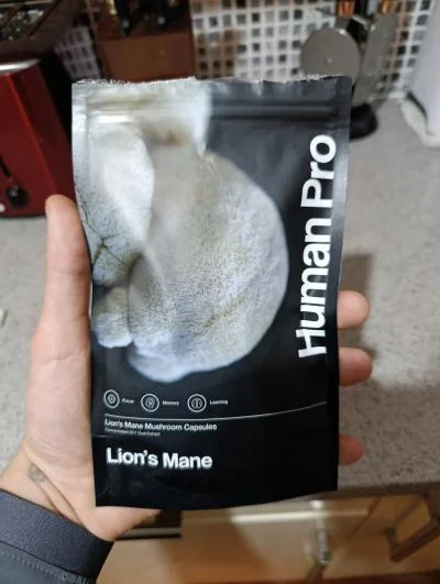 Human Pro Lion's Mane customer